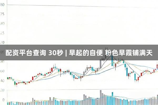 配资平台查询 30秒 | 早起的自便 粉色早霞铺满天