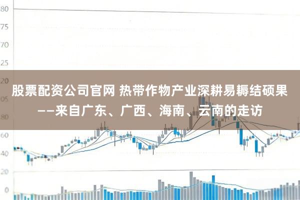 股票配资公司官网 热带作物产业深耕易耨结硕果——来自广东、广西、海南、云南的走访