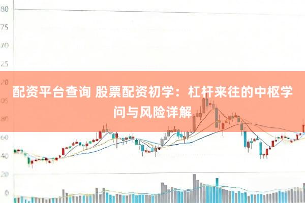 配资平台查询 股票配资初学：杠杆来往的中枢学问与风险详解