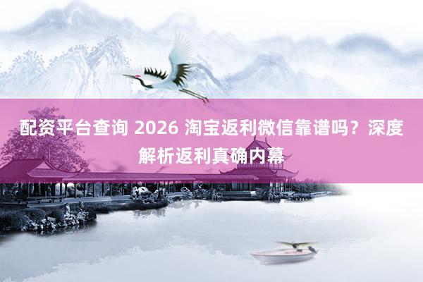 配资平台查询 2026 淘宝返利微信靠谱吗？深度解析返利真确内幕