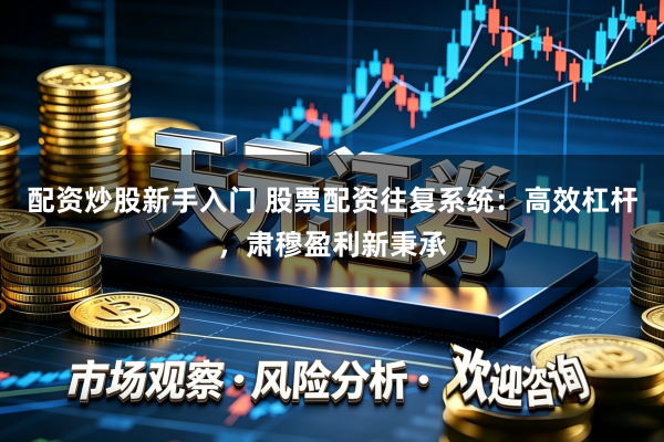 配资炒股新手入门 股票配资往复系统：高效杠杆，肃穆盈利新秉承
