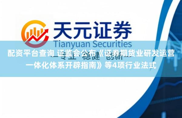 配资平台查询 证监会公布《证券期货业研发运营一体化体系开辟指南》等4项行业法式