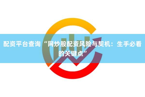 配资平台查询 “网炒股配资风险与契机：生手必看的关键点”