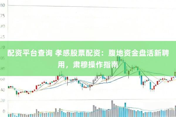 配资平台查询 孝感股票配资：腹地资金盘活新聘用，肃穆操作指南