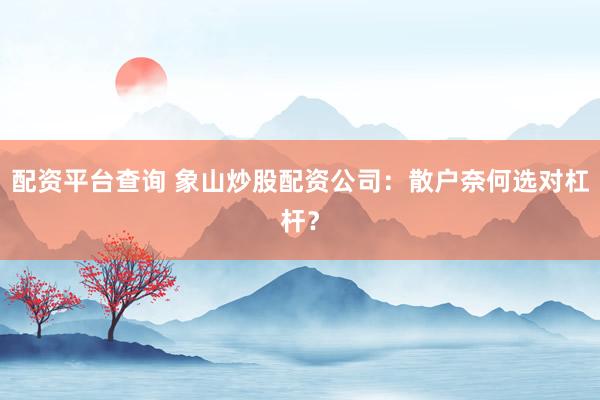配资平台查询 象山炒股配资公司：散户奈何选对杠杆？