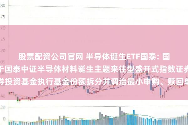 股票配资公司官网 半导体诞生ETF国泰: 国泰基金管束有限公司对于国泰中证半导体材料诞生主题来往型盛开式指数证券投资基金执行基金份额拆分并调治最小申购、赎回单元及联系业务安排的公告