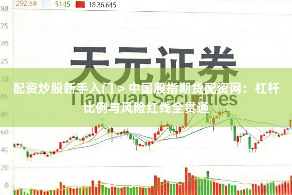 配资炒股新手入门 > 中国股指期货配资网：杠杆比例与风险红线全贯通