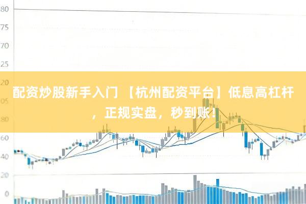 配资炒股新手入门 【杭州配资平台】低息高杠杆，正规实盘，秒到账！